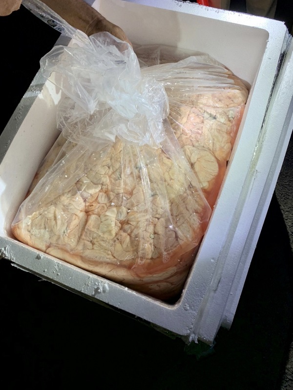 Phát hiện 1,7 tấn lòng lợn hôi thối đang được vận chuyển về TP.HCM tiêu thụ